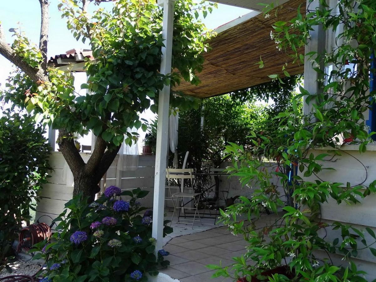 Villa Casa Pentone Cervione Esterno foto
