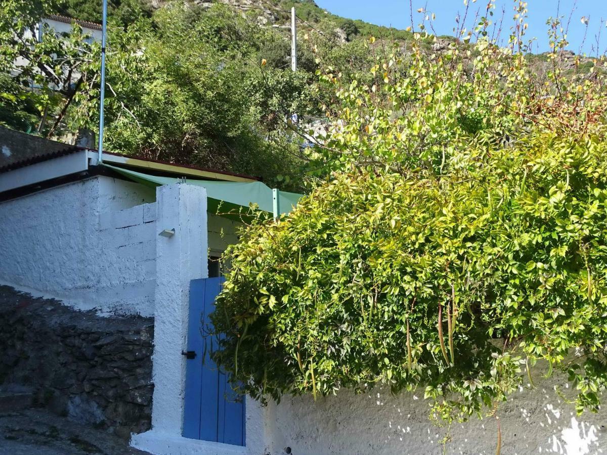 Villa Casa Pentone Cervione Esterno foto