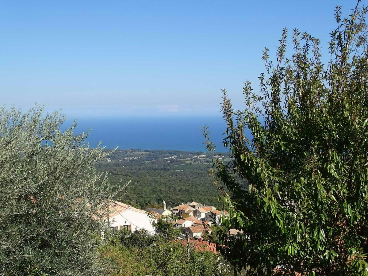 Villa Casa Pentone Cervione Esterno foto